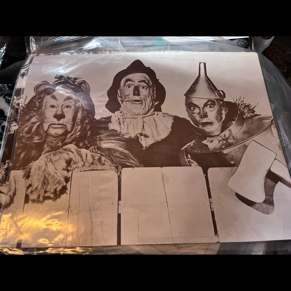 Wizard of oz